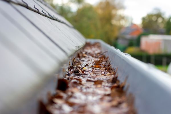 Commercial Gutter Cleaning in Manassas