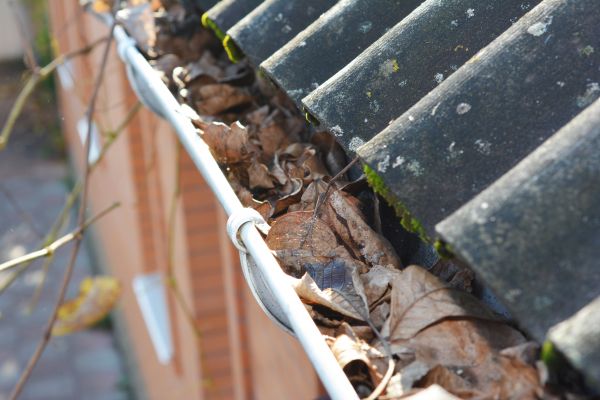 Home Gutter Cleaning in Manassas