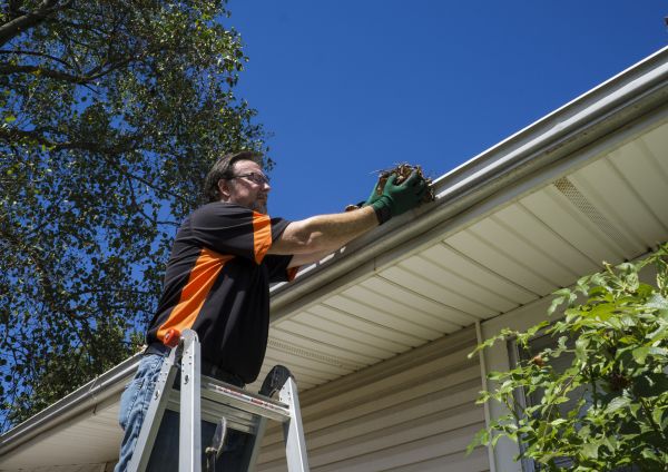 Cost of Eavestrough Clearing in Manassas