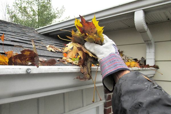 Rain Gutter Clearing