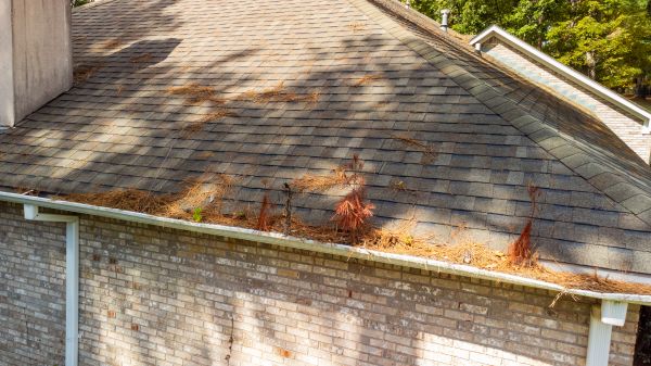 Cost of Gutter Pine Needle Removal in Manassas