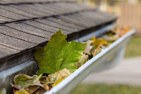 Cost of Gutter Leaves Removal in Manassas
