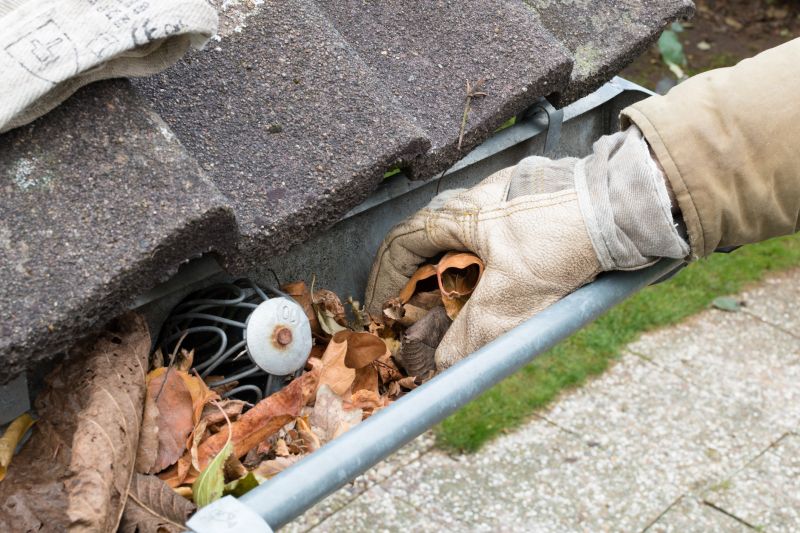 Clogged Gutter Blockages