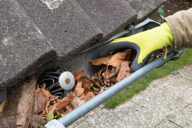Gutter Inspection
