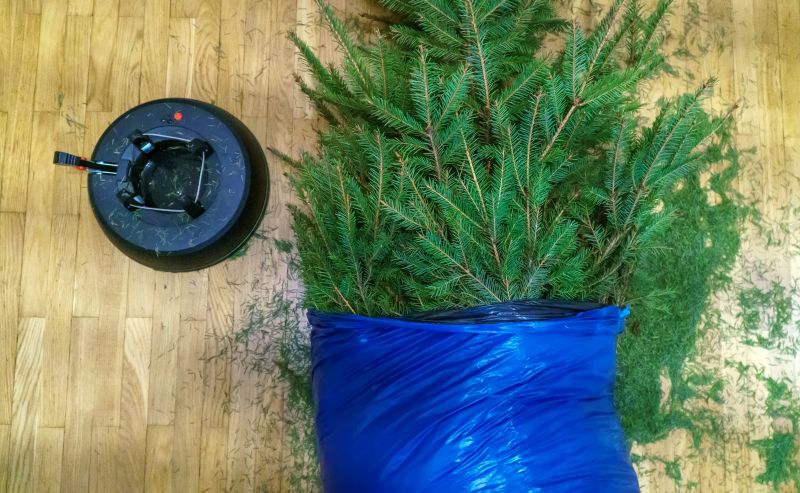 Gutter Pine Needle Removal